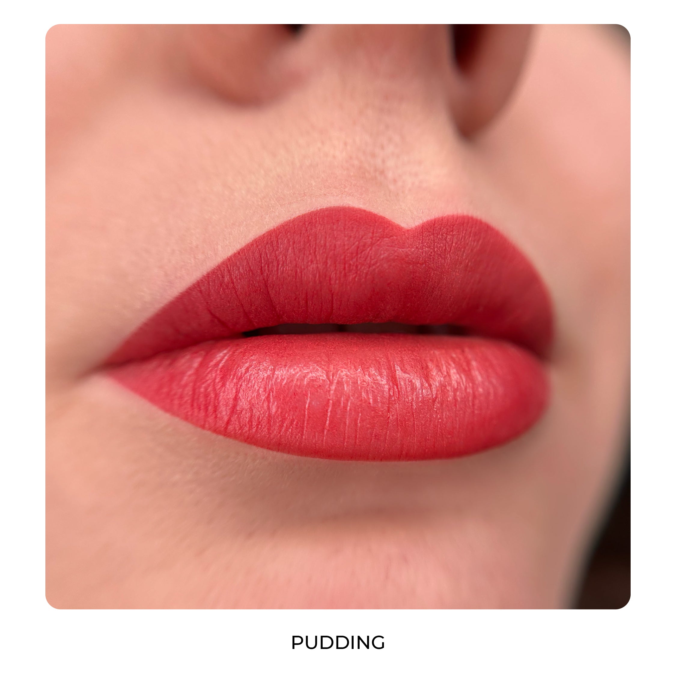 HARLEY QUINN BY AS COMPANY & ALLA BUDARAGINA