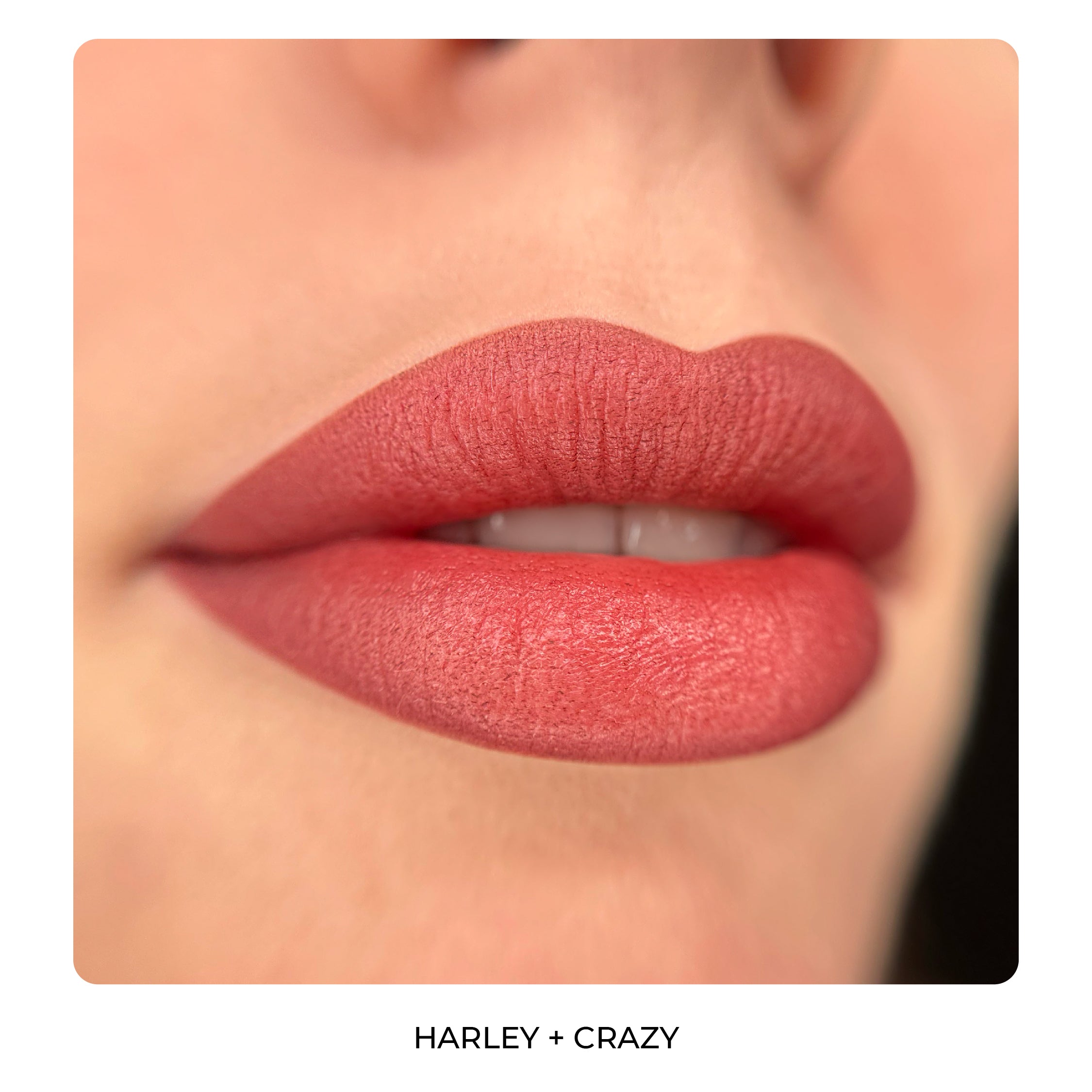 HARLEY QUINN BY AS COMPANY & ALLA BUDARAGINA