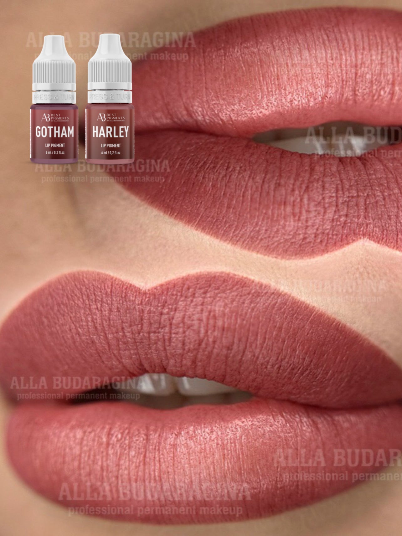 HARLEY QUINN BY AS COMPANY & ALLA BUDARAGINA