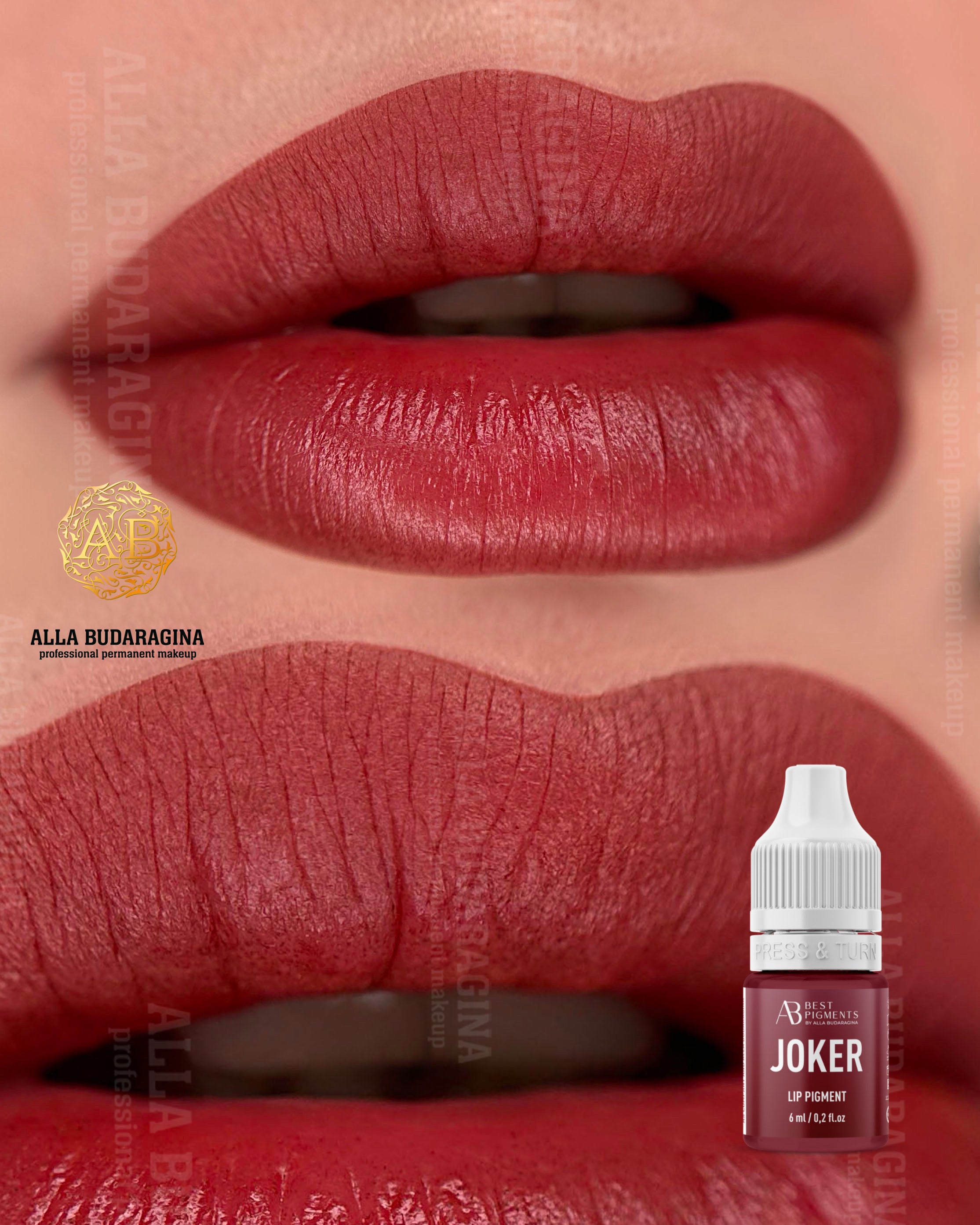 HARLEY QUINN BY AS COMPANY & ALLA BUDARAGINA