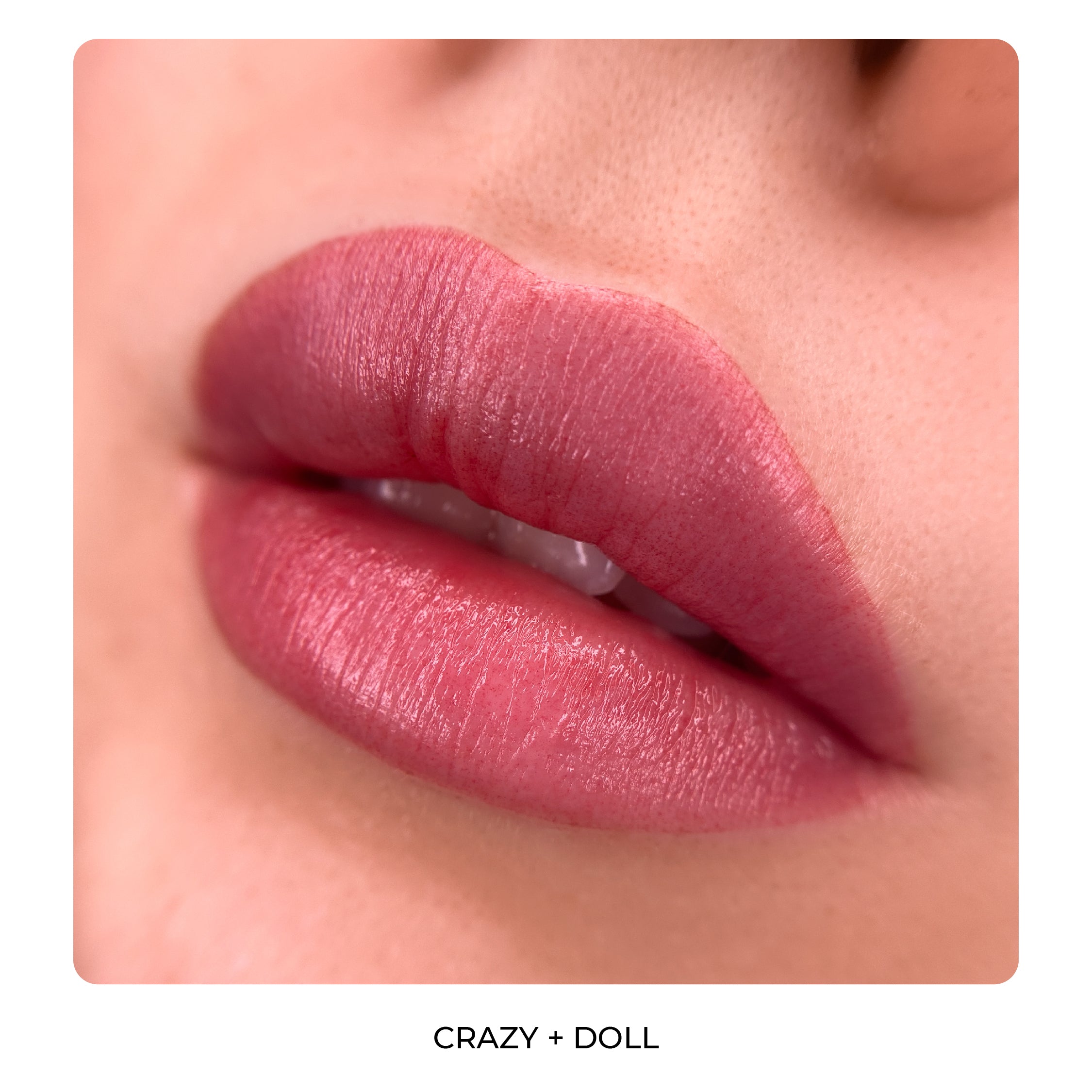 HARLEY QUINN BY AS COMPANY & ALLA BUDARAGINA