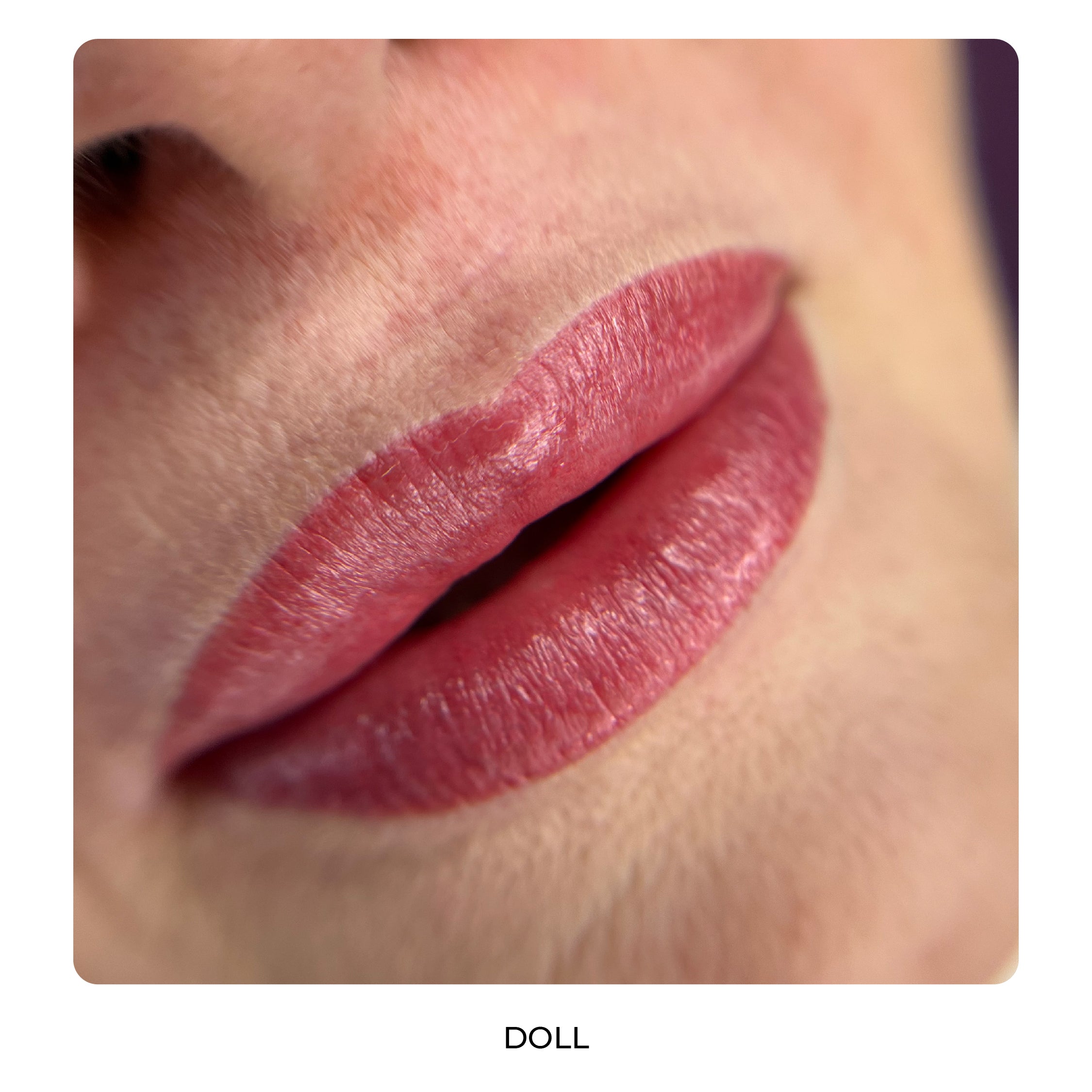 HARLEY QUINN BY AS COMPANY & ALLA BUDARAGINA